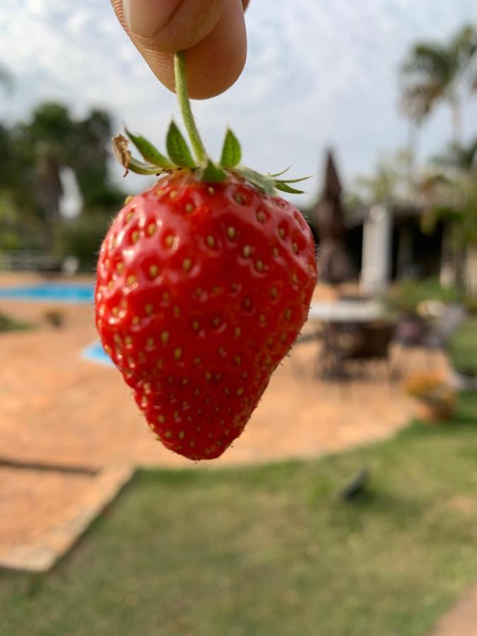 Gaia Hospedagem Holistica Brotas