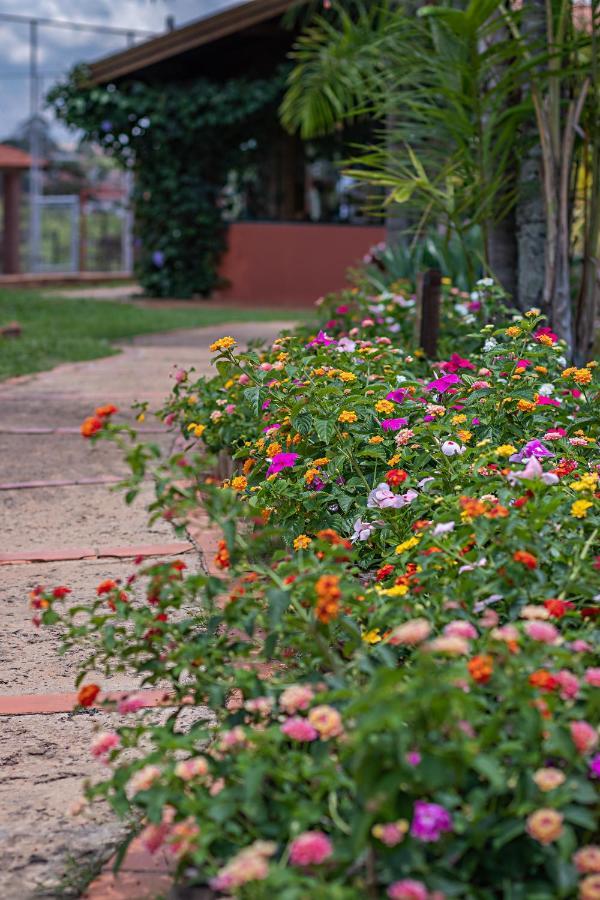 Gaia Hospedagem Holistica * Brotas
